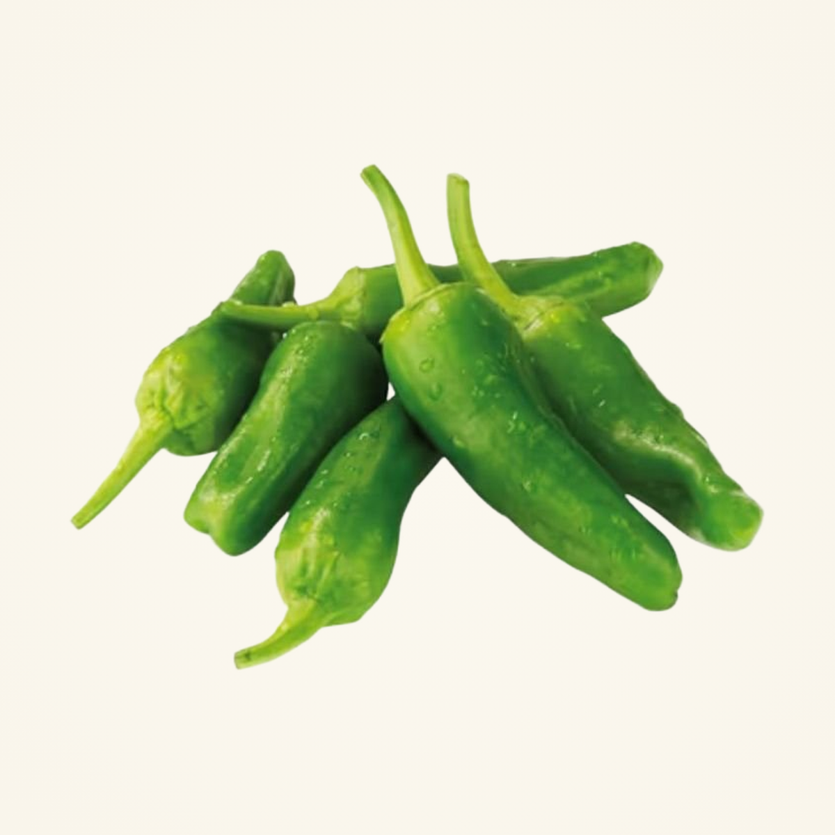 Bullet Chilli
