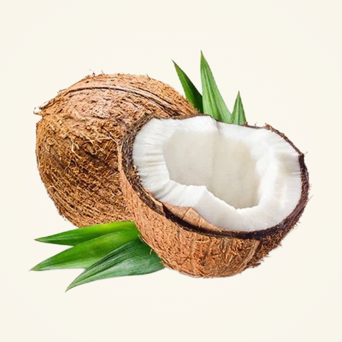 Coconut